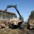 Автоматизация лесозаготовительных предприятий
